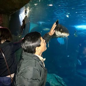 Meet your Posher, Luis